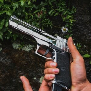 Pistol